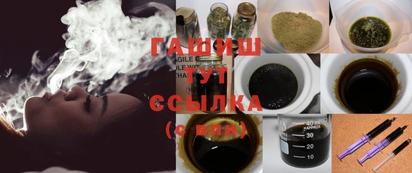 дурь Няндома