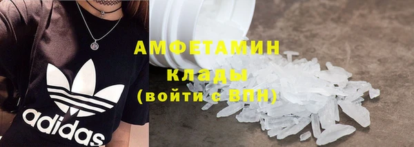 дурь Няндома