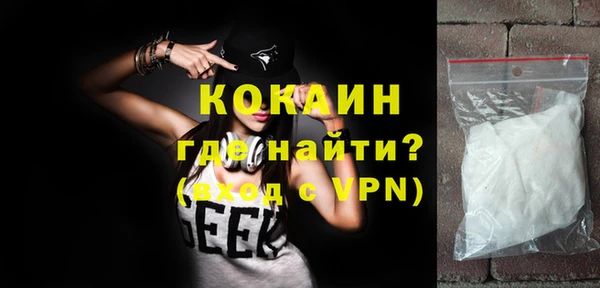 дурь Няндома