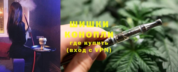 дурь Няндома