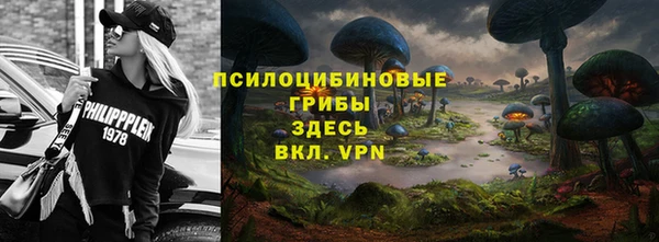 дурь Няндома